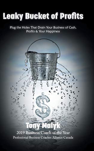 Leaky Bucket of Profits: Plug the Holes That Drain Your Business of Cash, Profits & Your Happiness