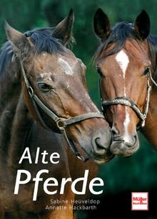Alte Pferde