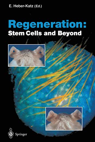 Regeneration: Stem Cells and Beyond (Current Topics in Microbiology and Immunology, 280, Band 280)