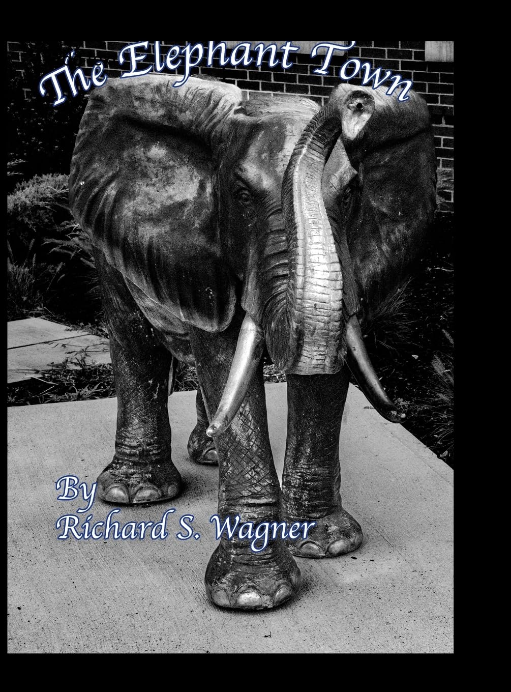 The Elephant Town