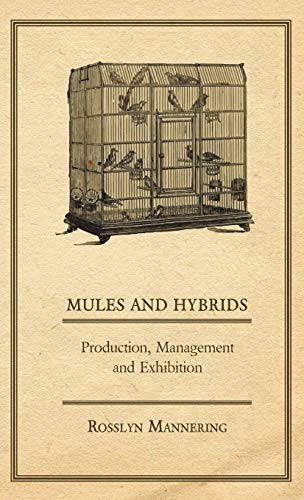 Mules and Hybrids - Production, Management and Exhibition: Production, Management, & Exhibition