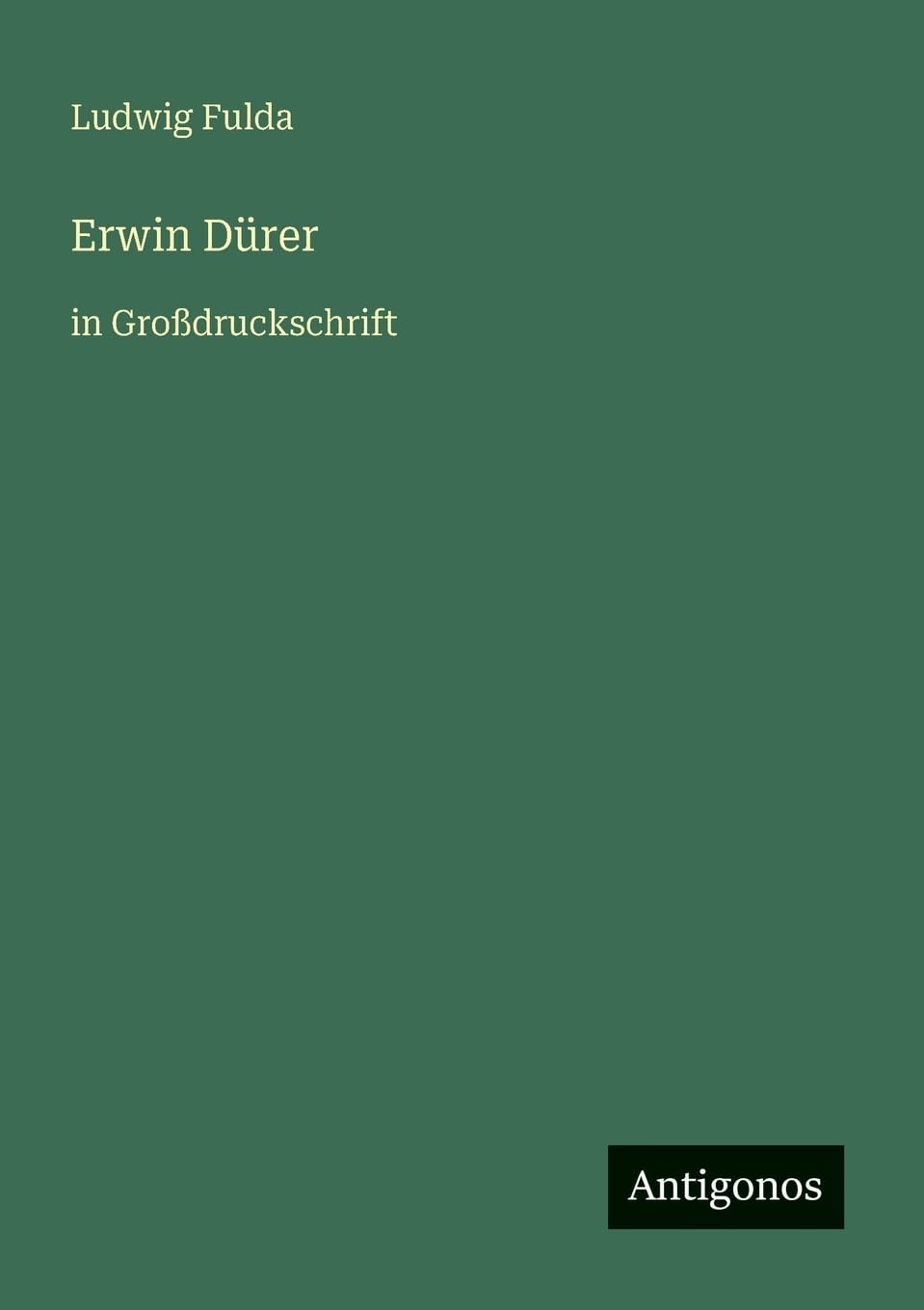 Erwin Dürer: in Großdruckschrift
