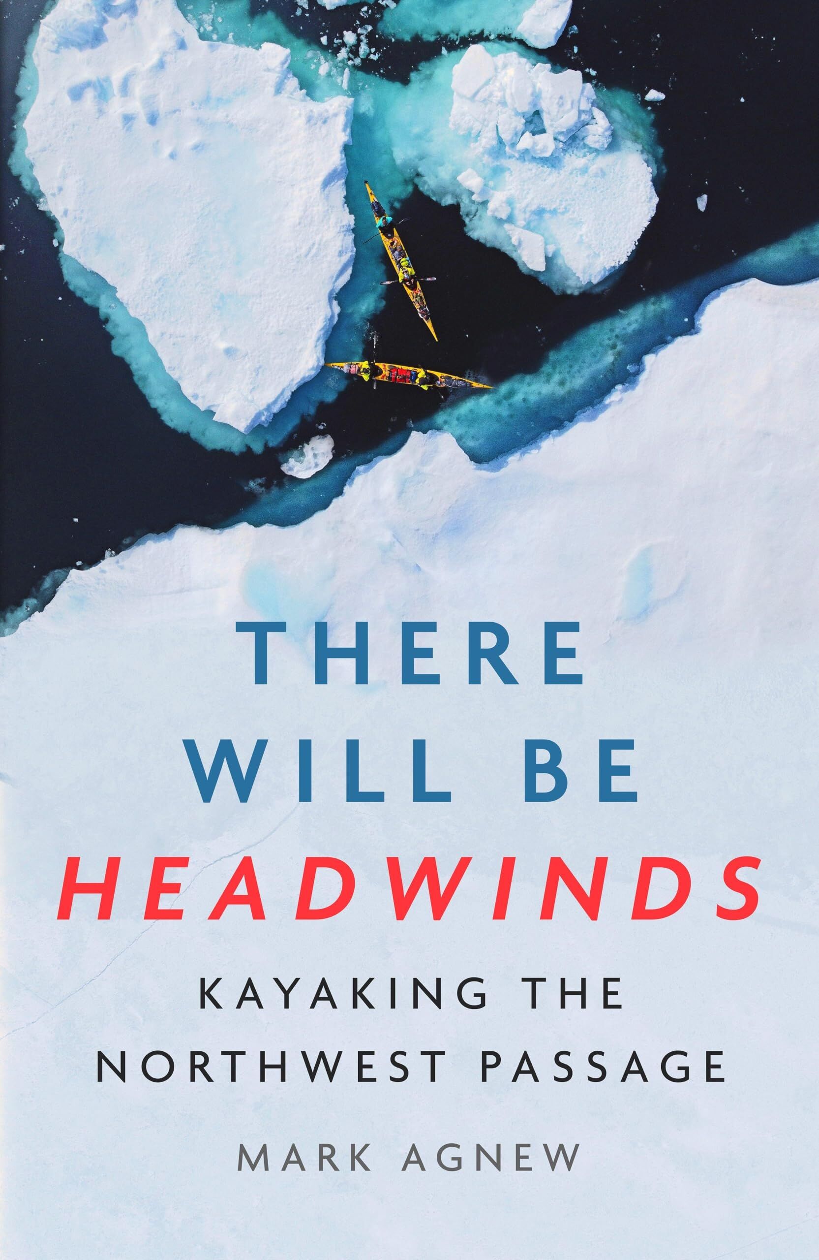 There Will Be Headwinds - Neuware