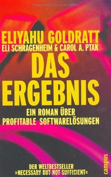 Das Ergebnis: Ein Roman über profitable Softwarelösungen