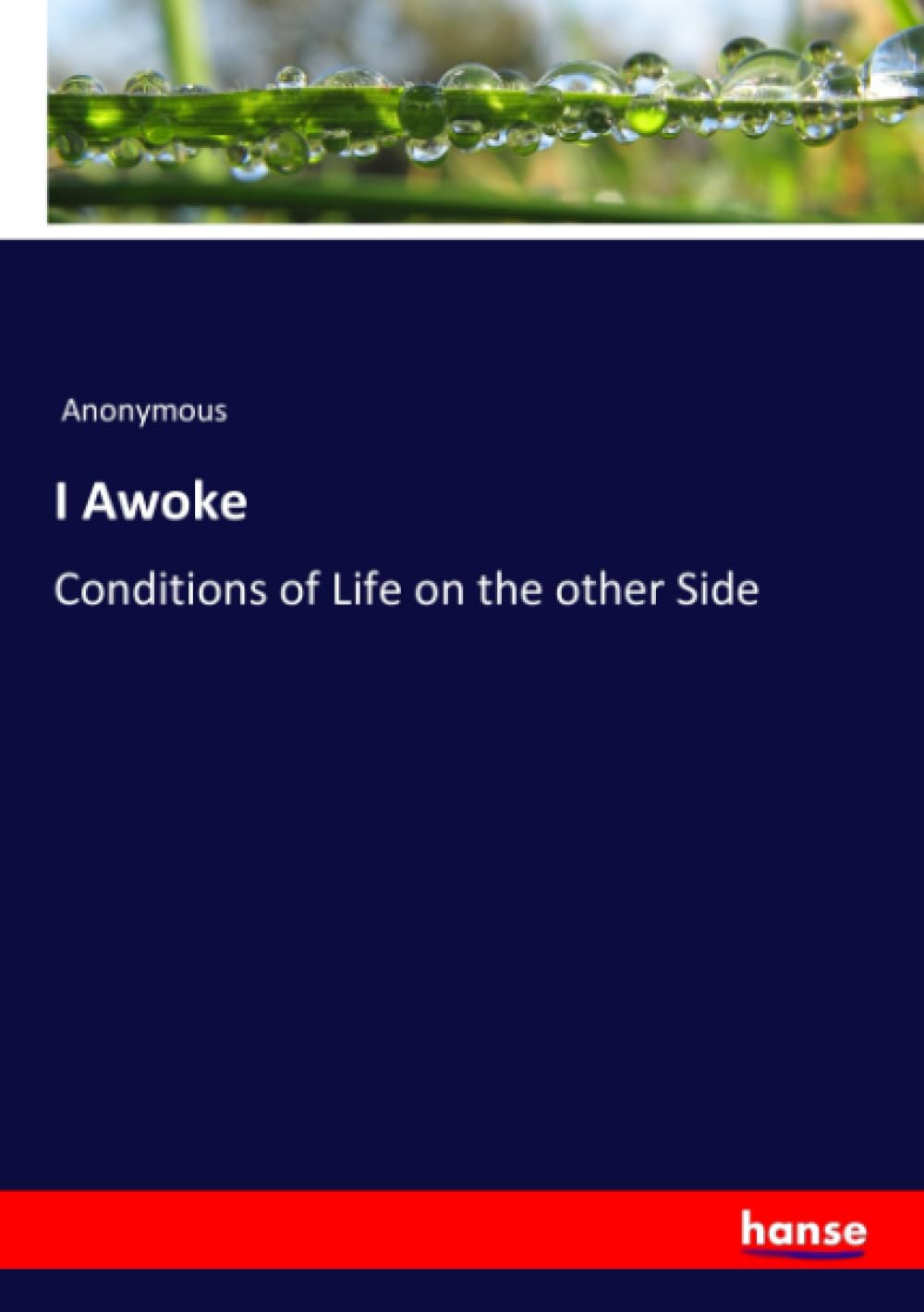 I Awoke: Conditions of Life on the other Side