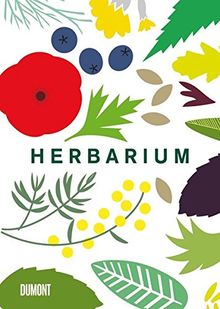 Herbarium: 100 Kräuter - Geschichte, Wirkung, Verwendung