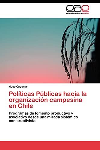 Políticas Públicas hacia la organización campesina en Chile: Programas de fomento productivo y asociativo desde una mirada sistémico constructivista