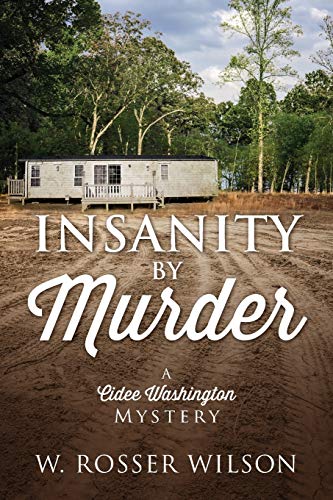 Insanity By Murder: A Cidee Washington Mystery