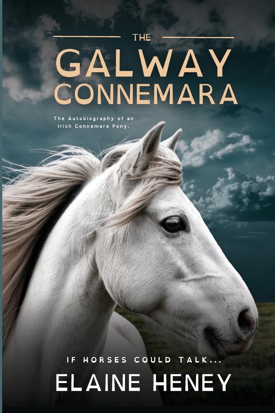 The Galway Connemara the Autobiography of an Irish Connemara Pony - Dyslexia Friendly