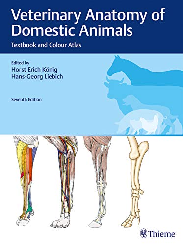 König, Horst Erich Veterinary Anatomy Of Domestic Animals, Textbook And Colour Atlas