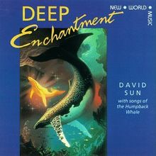 Deep Enchantment