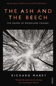 The Ash and The Beech: The Drama of Woodland Change