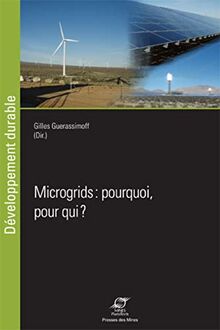 Microgrids : pourquoi, pour qui ?