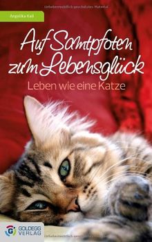 Auf Samtpfoten zum Lebensglück: Leben wie eine Katze von Angelika Kail | Buch | Zustand sehr gut