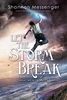 Let the Storm Break (Sky Fall, Band 2)