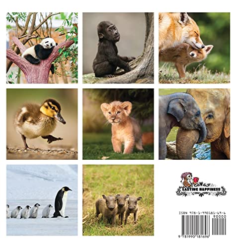Baby Animals, A No Text Picture Book: A Calming Gift for Alzheimer Patients and Senior Citizens Living With Dementia (Soothing Picture Books for the Heart and Soul)