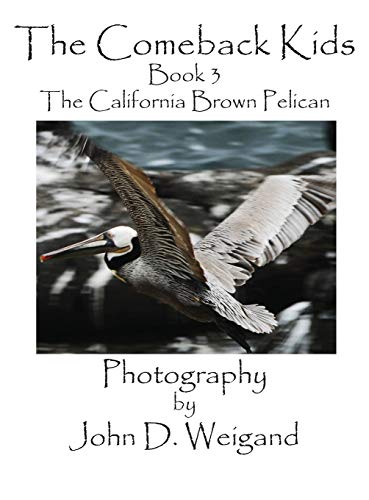 The Comeback Kids, Book 3, the California Brown Pelican