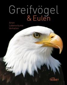 Greifvögel & Eulen: Arten, Lebensräume, Verhalten