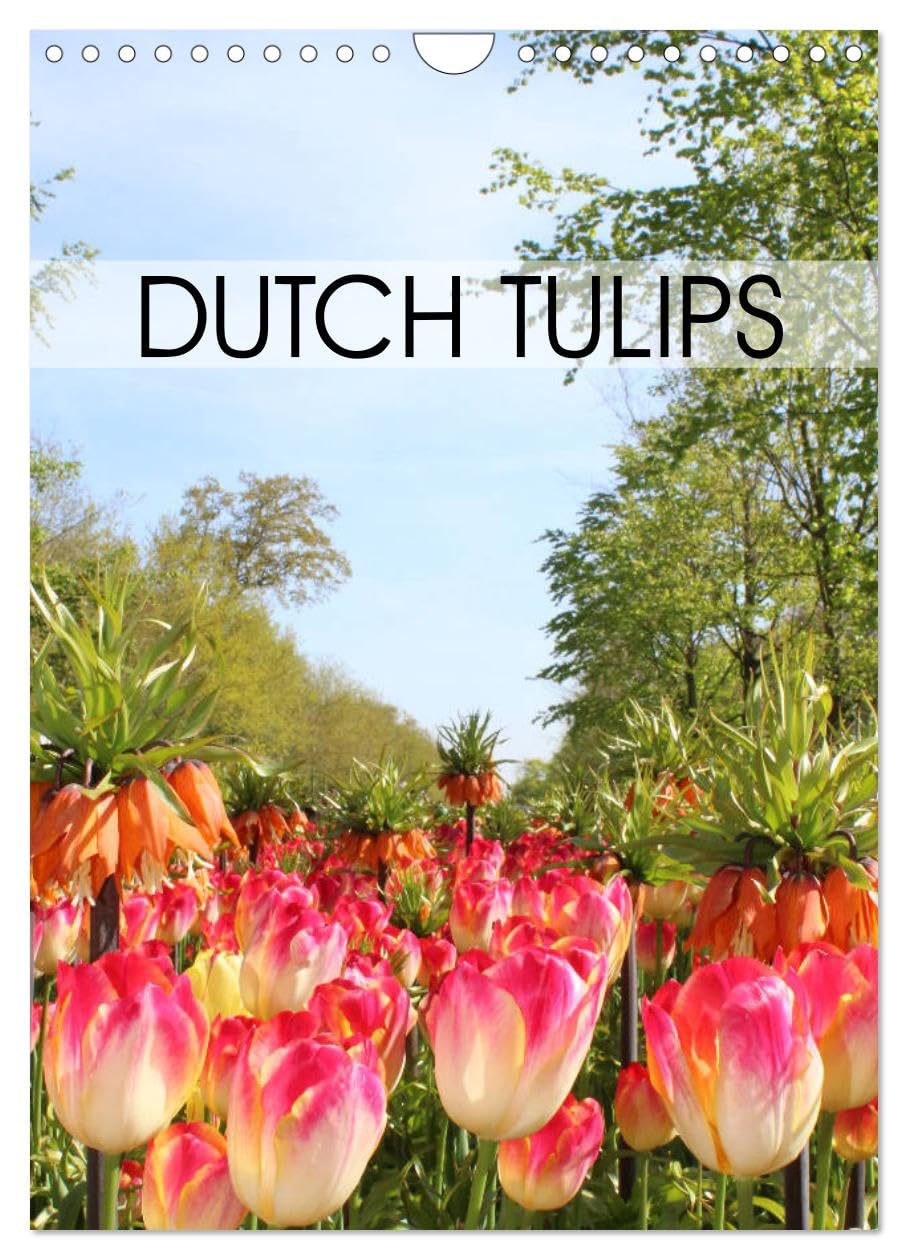 Dutch Tulips (Wall Calendar 2026 DIN A4 portrait), CALVENDO 12 Month Wall Calendar: Beautiful tulips, up close and in the landscape.