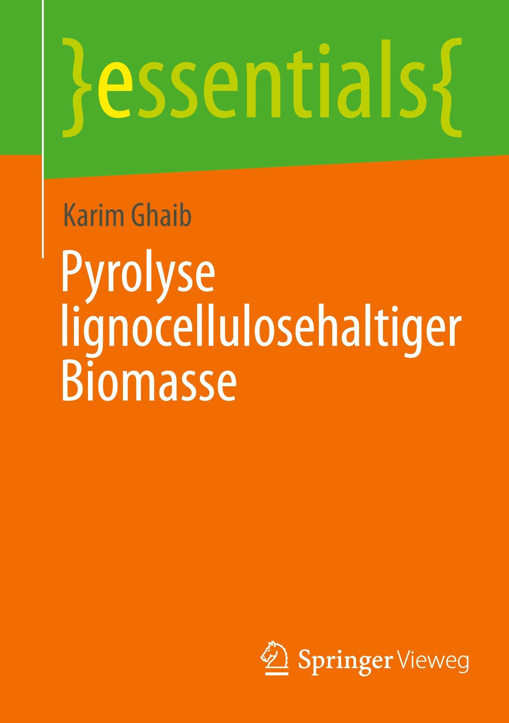 Pyrolyse lignocellulosehaltiger Biomasse: DE (essentials)