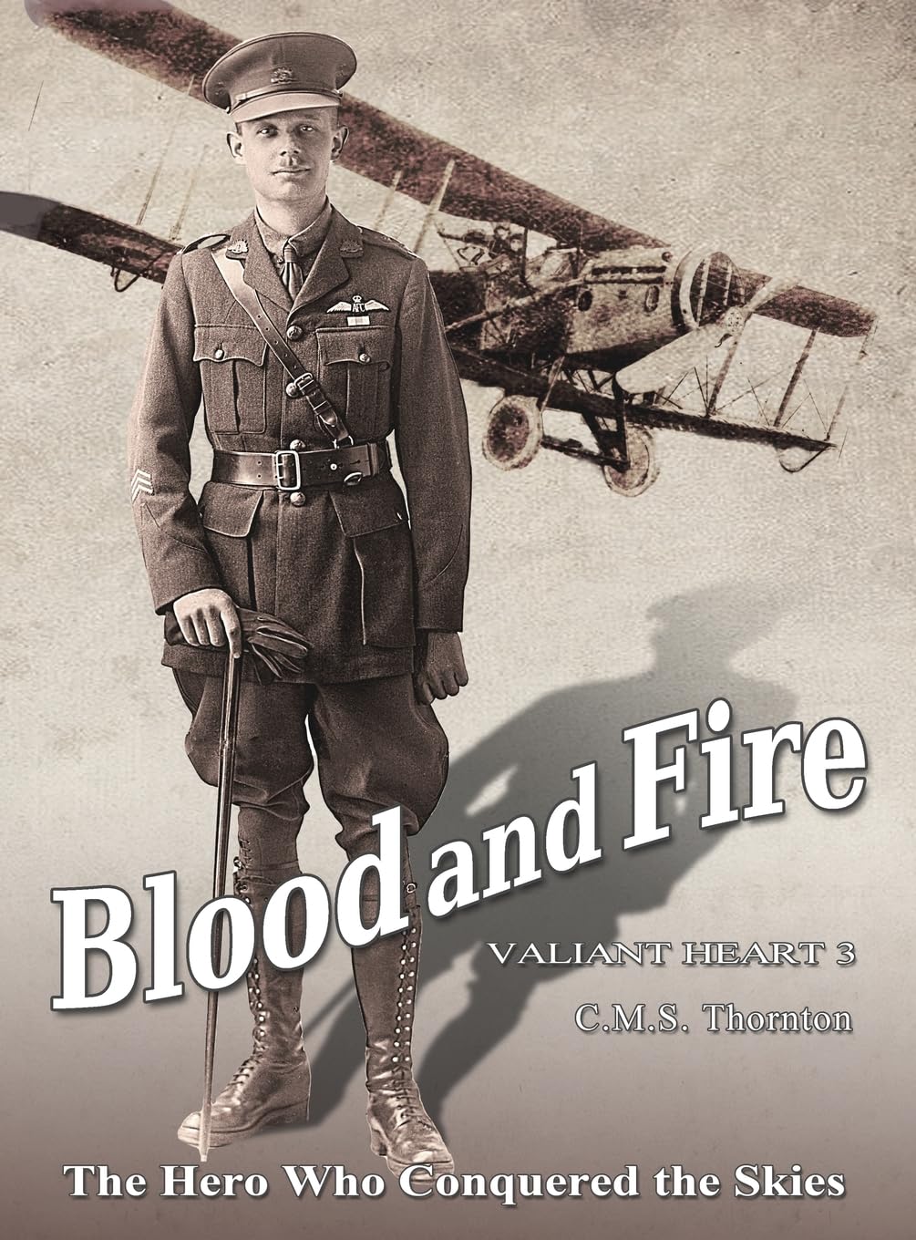 Blood and Fire: The Hero Who Conquered the Skies (Valiant Heart, Band 3)