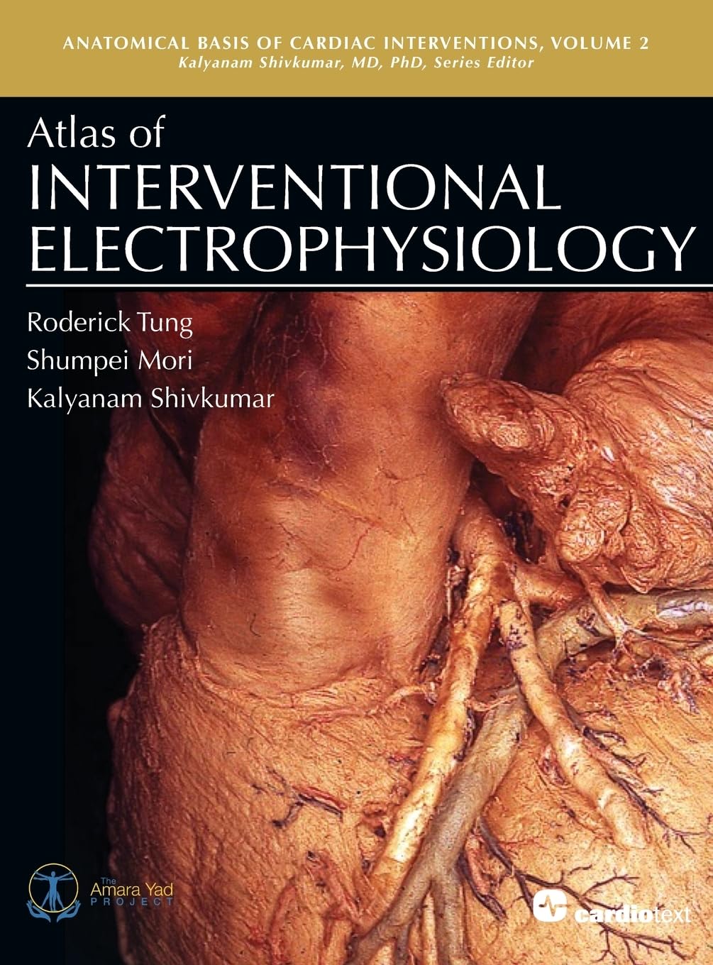 Atlas of Interventional Electrophysiology (Anatomical Basis of Cardiac Interventions, Band 2)