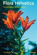 Flora Helvetica mit Bestimmungsschlüssel: 3773 Farbfotos von 3000 wildwachsenden Blüten- und Farnpflanzen, einschliesslich wichtiger Kulturpflanzen, Artbeschreibungen und Bestimmungsschlüssel