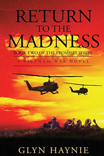 Return To The Madness: A Vietnam War Novel (Promises To The Fallen, Band 2)