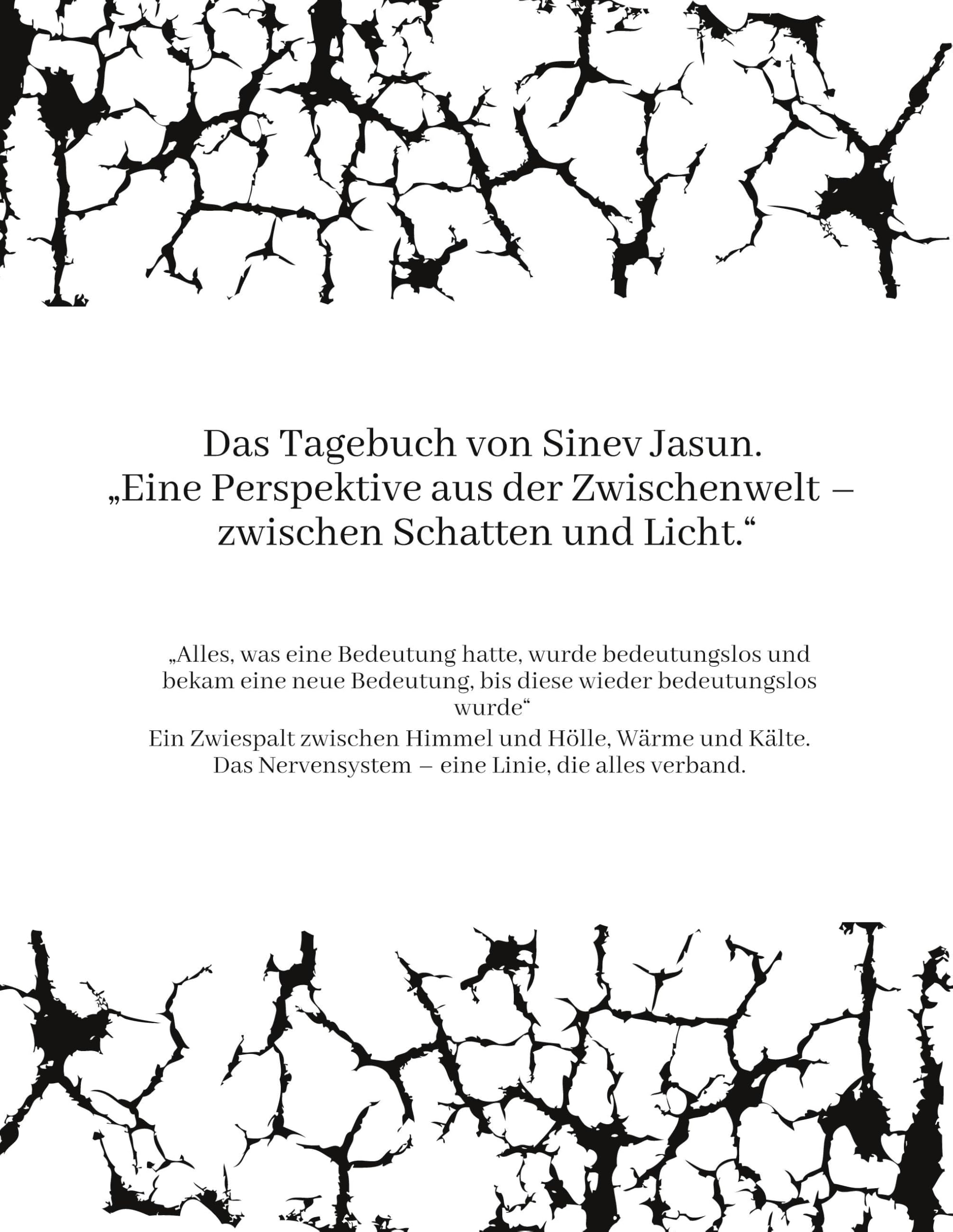 Das Tagebuch von Sinev Jasun. Eine Perspektive aus der Zwischenwelt - zwischen Schatten und Licht.: Alles, was eine Bedeutung hatte, wurde ... bis diese wieder bedeutungslos wurde