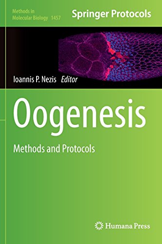 Oogenesis: Methods and Protocols (Methods in Molecular Biology)