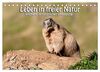 Leben in freier Natur - Wildtiere in natürlicher Umgebung (Tischkalender 2024 DIN A5 quer), CALVENDO Monatskalender