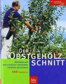 Der Obstgehölzschnitt: Obstbäume und Beerensträucher zweckmäßig schneiden und erziehen. Mit über 440 Praxis-Fotos