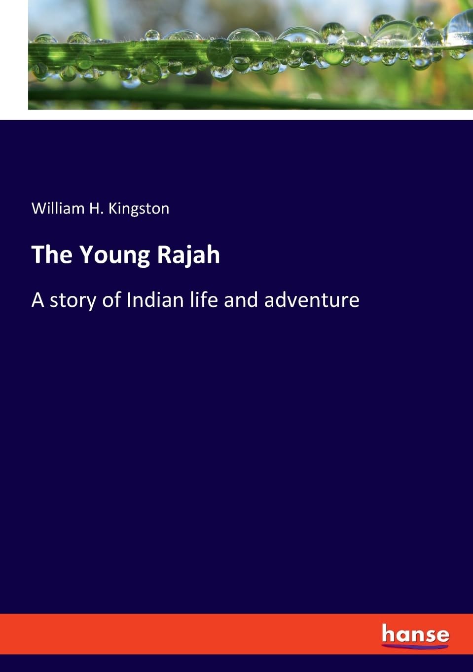 The Young Rajah: A story of Indian life and adventure
