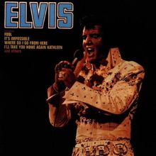 Elvis (the Fool Album)