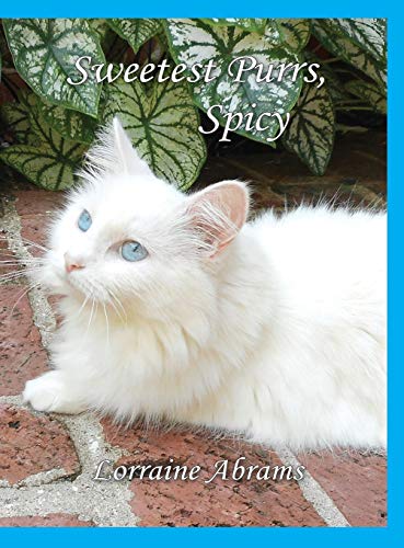 Sweetest Purrs, Spicy (Adventures of Spicy, Band 4)