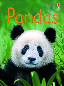 Pandas (Beginners Series)