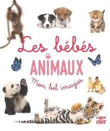 Les bébés animaux