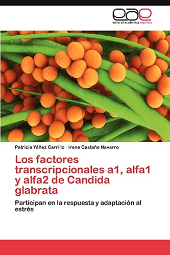 Los factores transcripcionales a1, alfa1 y alfa2 de Candida glabrata: Participan en la respuesta y adaptación al estrés