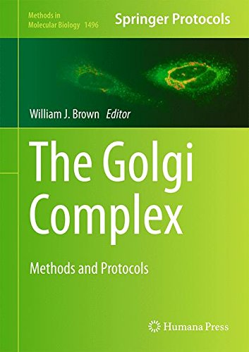 The Golgi Complex: Methods and Protocols (Methods in Molecular Biology)
