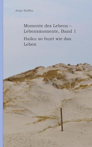 Momente des Lebens - Lebensmomente Band 1 - Antje Steffen Kartoniert (TB)