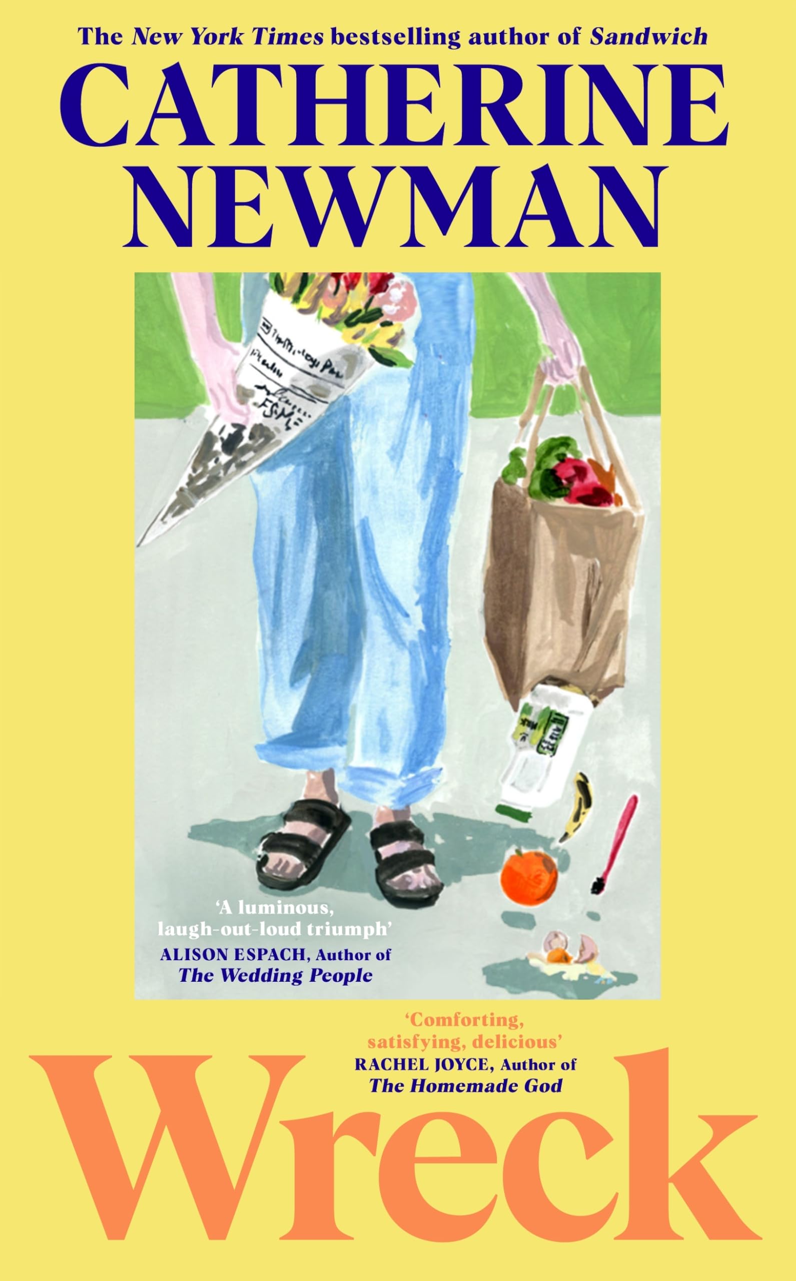 Wreck: From the NYT bestselling author of Sandwich and We All Want Impossible Things