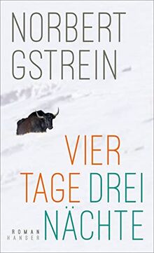 Vier Tage, drei Nächte: Roman