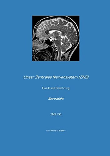 Unser Zentrales Nervensystem (ZNS): Eine kurze Einführung - Extra-leicht