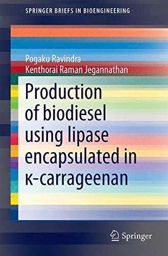 SpringerBriefs in Bioengineering   Production of biodiesel using lipase encapsulated in -carrageenan - Pogaku Ravindra Kenthorai Raman Jegannathan Kartoniert (TB)