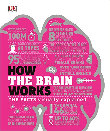 Die Buchhandlung in Oelde hat das Buch How the Brain Works: The Facts Visually Explained (How It Works)