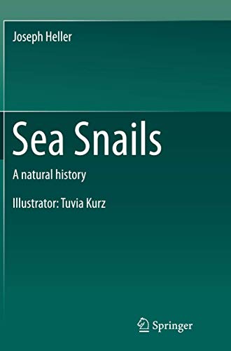 Sea Snails: A natural history