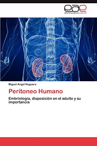 Peritoneo Humano: Embriología, disposición en el adulto y su importancia
