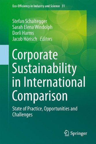Corporate Sustainability in International Comparison: State of Practice, Opportunities and Challenges (Eco-Efficiency in Industry and Science)