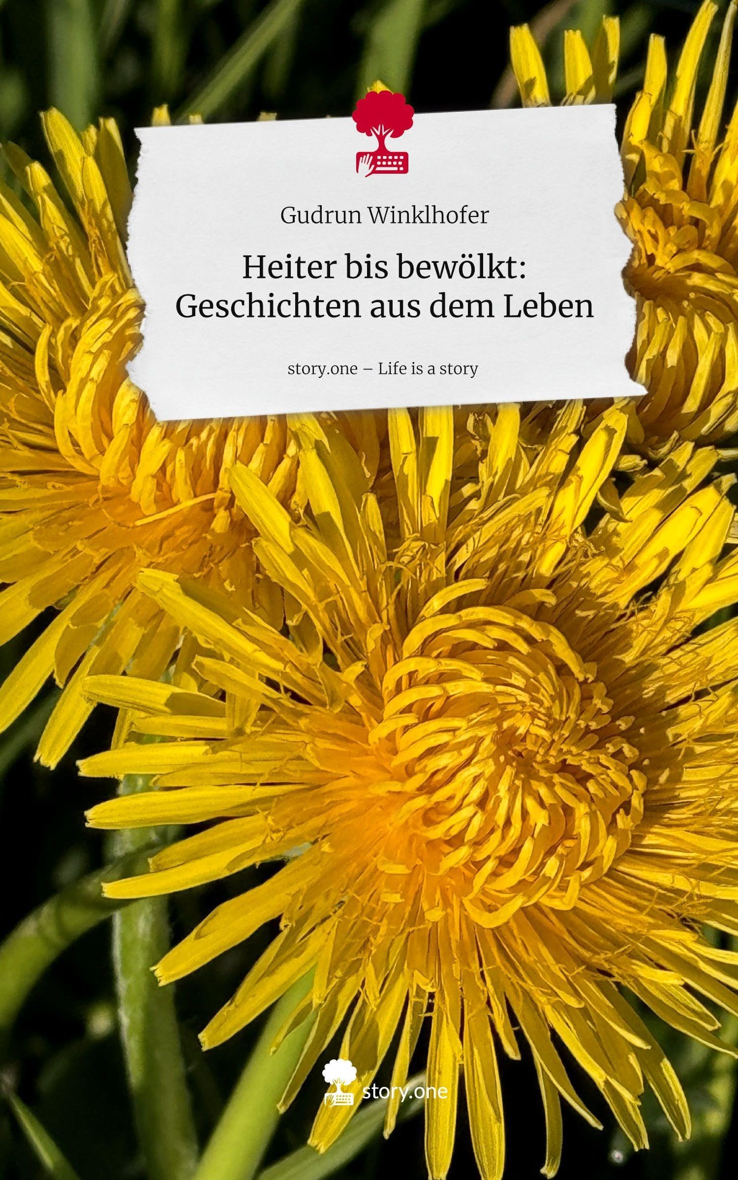 Heiter bis bewölkt: Geschichten aus dem Leben. Life is a Story - story.one