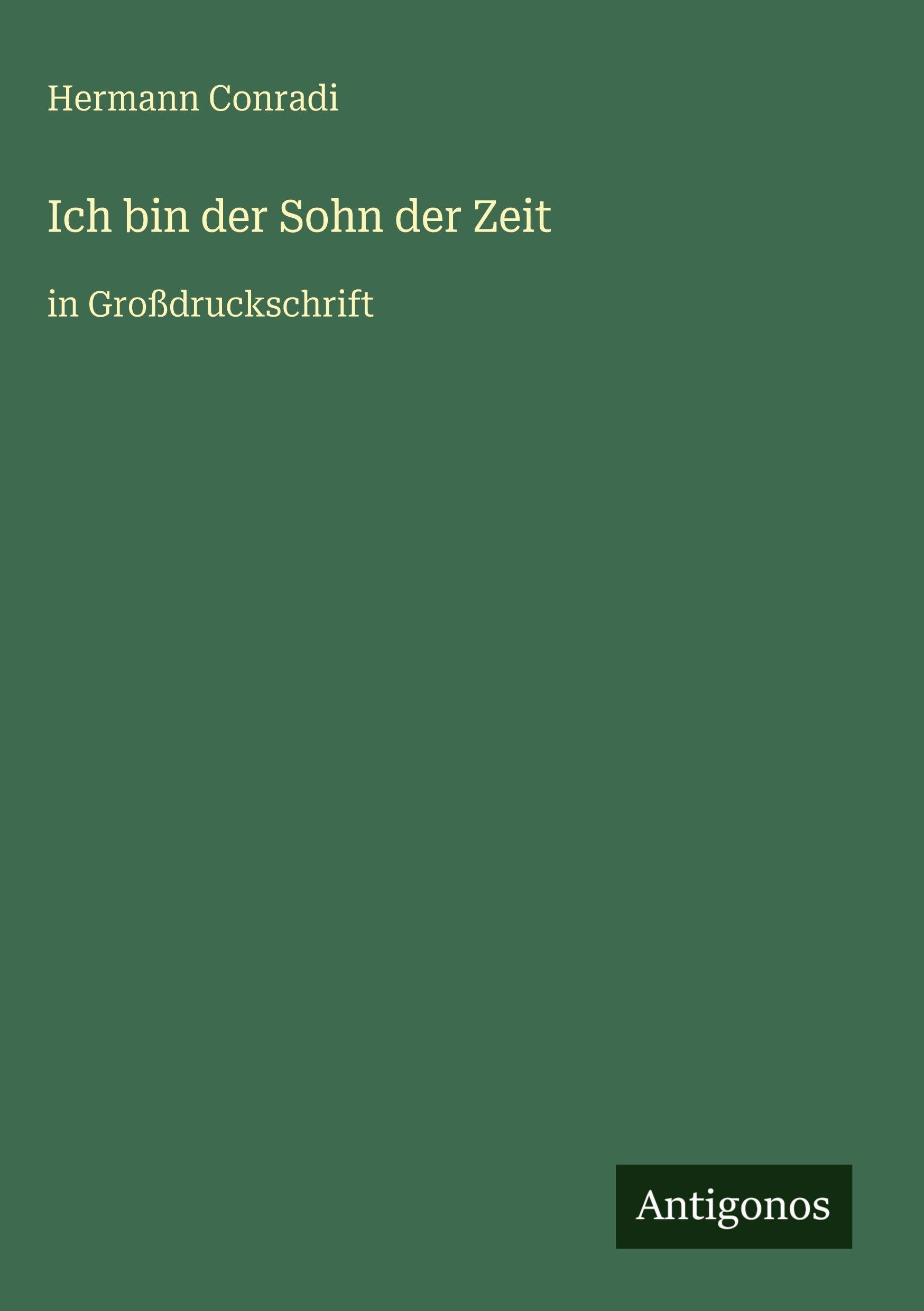 Ich bin der Sohn der Zeit: in Großdruckschrift
